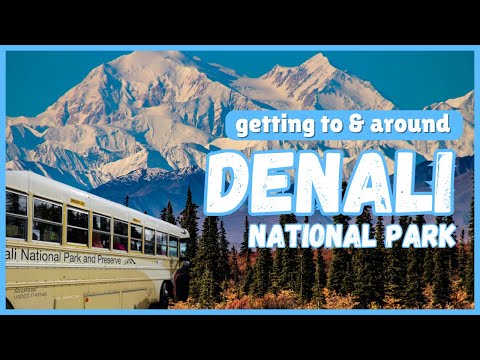 Getting around Denali National Park