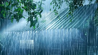 Deep Sleep Immediately in 3 Minutes with Heavy Rainstorm on Metal Roof & Strong Thunder  at Night