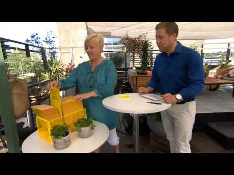 Triss: Anna från Malmö skrapar - Nyhetsmorgon (TV4)