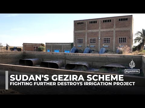Sudan's Gezira scheme: Once thriving, now crippled by mismanagement, neglect and conflict