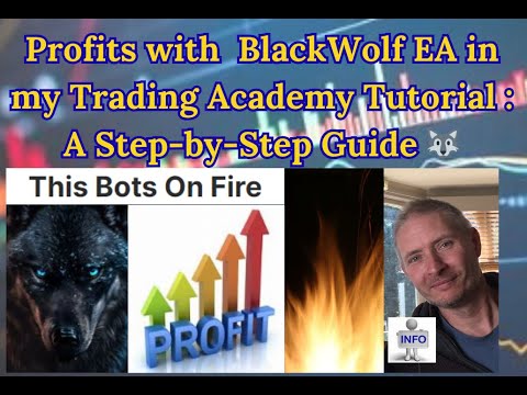Profits with  BlackWolf EA in my Trading Academy Tutorial : A Step-by-Step Guide 🐺