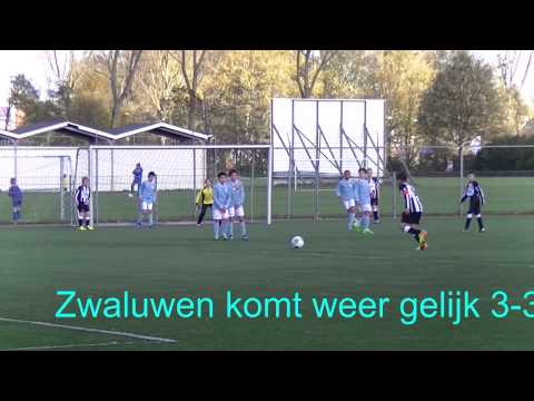 Samenvatting Hermes DVS E1 -  Zwaluwen E1