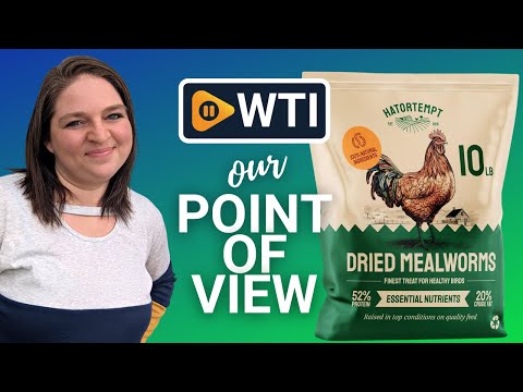 Hatortempt 10lbs Bulk Dried Mealworms - Premium Non-GMO Organic Chicken Feed - WTI product video review