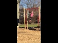 Allie Crossing The Monkey Bars