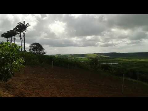 Povoado de Romeiro, Coruripe.Al.(1)