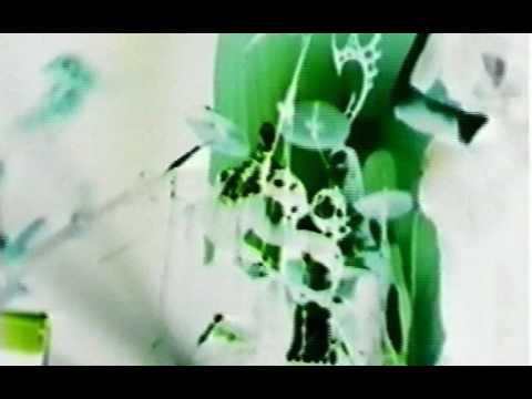 JESUS WAS AN ALIEN "Introducing "2009