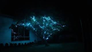 xMas Tree - Pink Martini &quot;Santa Baby&quot;