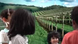 YANKEE DOODLE NURSERY RHYMES