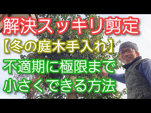 冬に剪定する植物はどれ？ 1月と2月に剪定を好む種  庭園