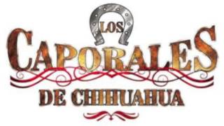Los Caporales De Chihuahua,Los 500 Novillos.