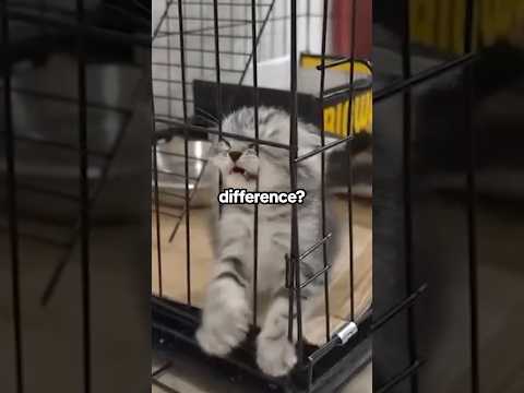 Cheapest vs Most Expensive Zoo in Japan! 😳