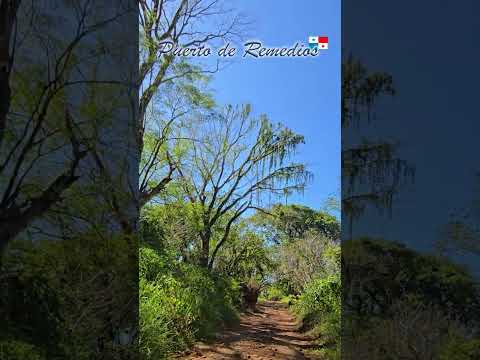 El Puerto de Remedios, provincia de Chiriquí, Panama