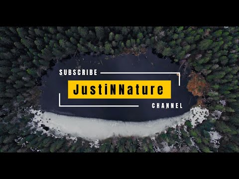 Swedish House Mafia - Alesso - Nicky Romero - Kx5 - Aresta ( JustiNNature Tech House & Trance Mix )