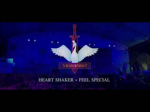 Heart Shake + Feel Special (TWICE) Cover by SWAN KNIGHT