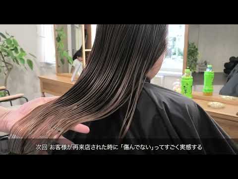 YouTube動画
