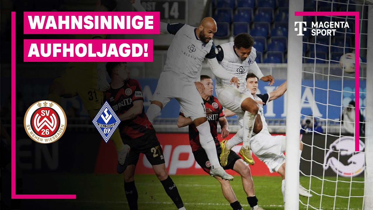 SV Wehen Wiesbaden vs SV Waldhof Mannheim Highlights