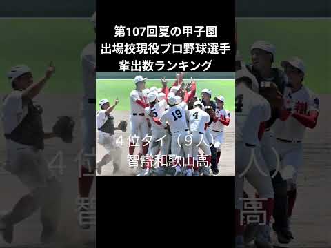 第107回夏の甲子園出場校現役プロ野球選手輩出数ランキング #npb #プロ野球 #甲子園 #高校野球 #夏の甲子園