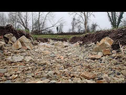Mise en eau du nouveau lit du ruisseau de Marcé après travaux de reméandrage