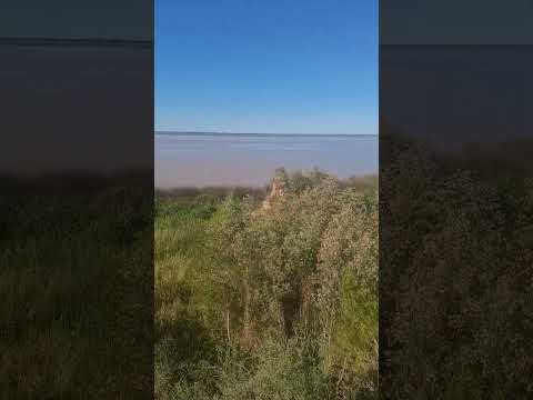 Río Parana, desde el Mirador de San Pedro,  Buenos Aires