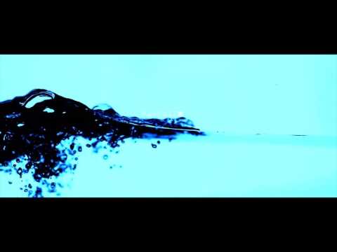 Black Coast   Lawless