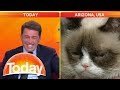 Grumpy Cat VS Karl Stefanovic 