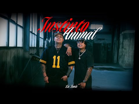 The Dose - Animal Instinct (Official Video)