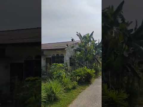 survey SP C030 DP0010