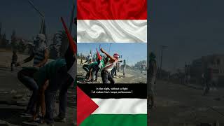 Download lagu Perjuangan rakyat Palestina | We Will Not Go Down mp3 Download lagu Perjuangan rakyat Palestina | We Will Not Go Down mp3