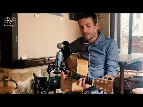 OVE en Madrid (Búho Real).