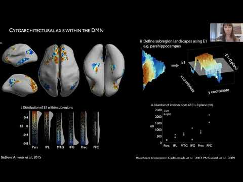 The Unique Cytoarchitecture and Wiring of The Default Mode Network