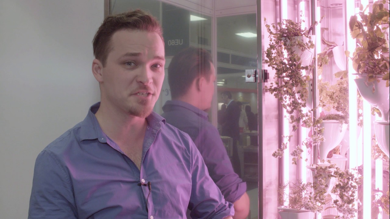 With Lauri Kapp - NATUFIA LIGHTS - YouTube