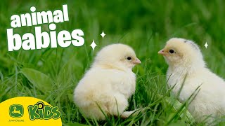 The CUTEST Baby Animals On The Farm!  🐣 | John Deere Kids