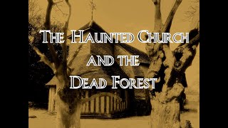 The Haunted Church and the Dead Forest
