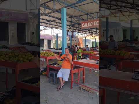 FEIRA DE SANTA INÊS BAHIA #shorts #feira #santainês #bahia #turismo #cultura #entretenimento #humor