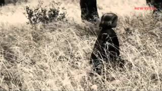 Paul van Dyk with Aly & Fila feat. Sue McLaren – Guardian