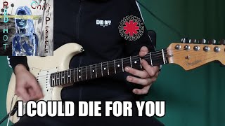 Red Hot Chili Peppers - I Could Die For You | Guitar Cover