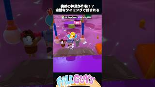 偶然の神業が炸裂！？【FallGuys/フォールガイズ】