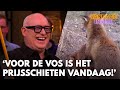 René ziet zichzelf terug als voice-over van natuurfilm: 'Voor de vos is het prijsschieten vandaag!'