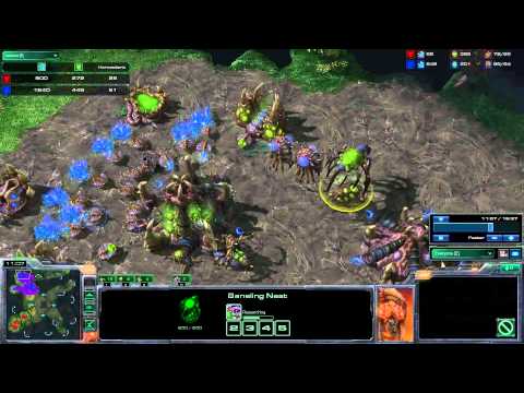 [#45] ZvT Nydus Worm