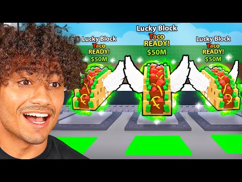 Spending $9,427,834 For 100 TACO LUCKY BLOCKS..