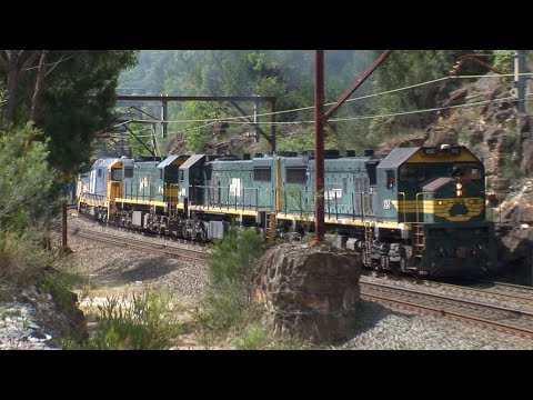 Combinations of diesel locomotives, including triple X class, climbing Cowan bank - 2010/11