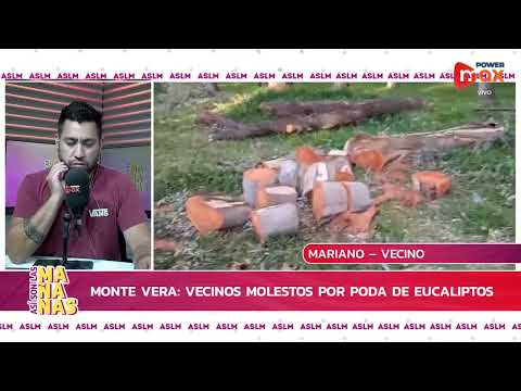 Monte Vera: polémica por la poda y retiro de eucaliptos en el predio del ferrocarril