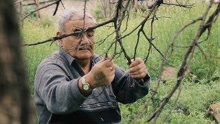 Մեկ պատուհան. Երկակի ճշմարտություն