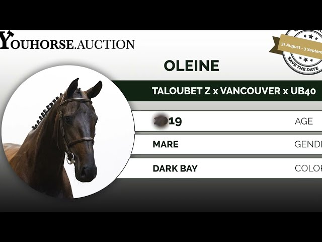 Oleine