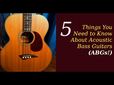 5 Things You Need to Know About Acoustic Bass Guitars