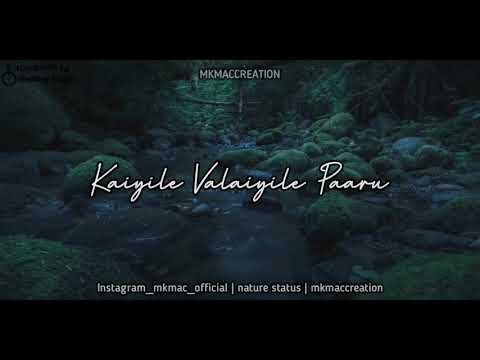 𝙆𝙖𝙣𝙙𝙖𝙣𝙜𝙞 𝙎𝙚𝙡𝙖𝙞 𝙆𝙖𝙖𝙧𝙞 // 𝙈𝙘 𝙅𝙖𝙨𝙤𝙣 𝙂 𝙁𝙚𝙖𝙩 || 𝙑𝙞𝙠𝙖𝙙𝙖𝙠𝙖𝙫𝙞 || 𝙬𝙝𝙖𝙩𝙨𝙖𝙥𝙥 𝙡𝙮𝙧𝙞𝙘𝙖𝙡 𝙨𝙩𝙖𝙩𝙪𝙨 | 𝙈𝙘𝙥𝙧𝙚𝙨𝙚𝙣𝙩𝙨"