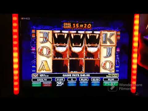 Wildlife...20 free spin first time# max bet# big win..please scrb..