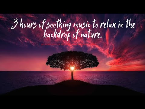 Soothing music to relax against the backdrop of nature
