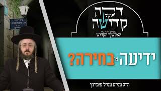 הרב מנחם מנדל פומרנץ | דקה מתורתו של רבינו האלשיך הקדוש - יום ד' פרשת חיי שרה • ידיעה בחירה? •