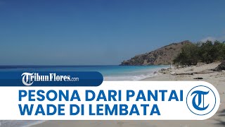 Pesona Pantai Wade di Lembata, Suguhkan Keindahan Pasir Putih dan Tebing di Sekitar Pantai